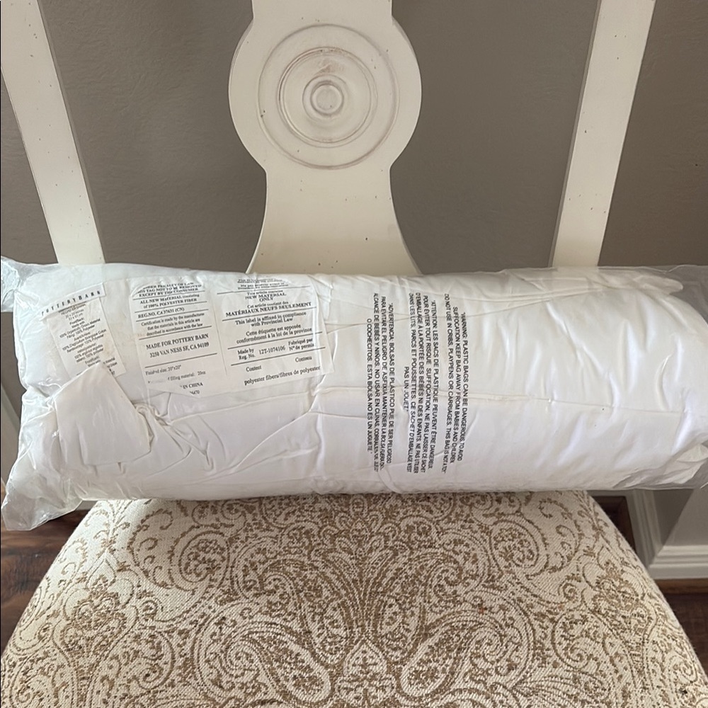 Pottery Barn White Pillow insert 20x20